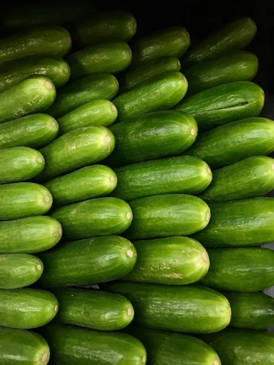Fresh Cucumber